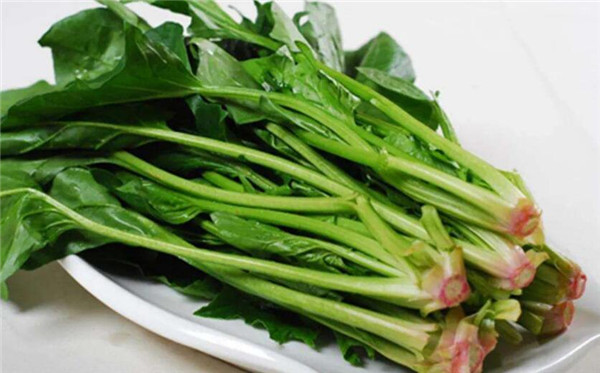 番茄和菠菜能一起吃嗎