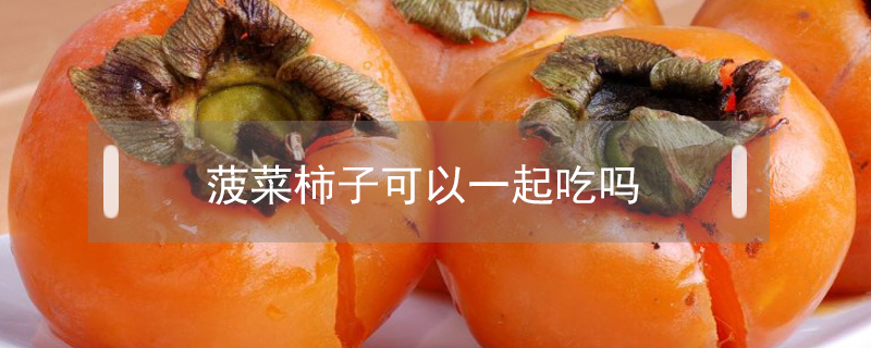 菠菜柿子可以一起吃嗎