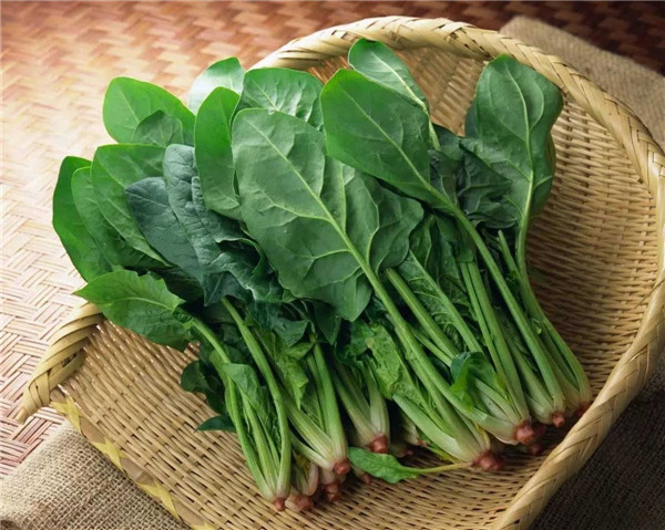 菠菜柿子可以一起吃嗎
