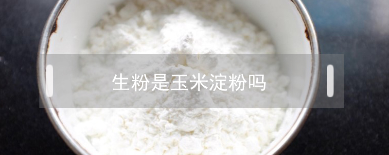 生粉是玉米淀粉嗎