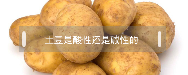 土豆是酸性還是堿性的