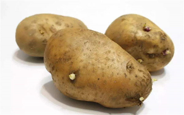 土豆是酸性還是堿性的