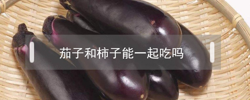 茄子和柿子能一起吃嗎