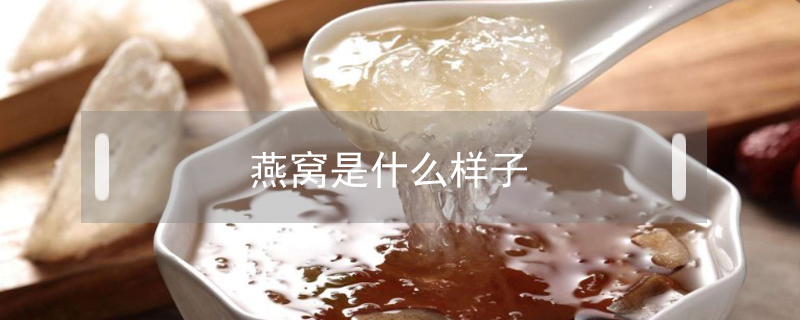 燕窩是什么樣子
