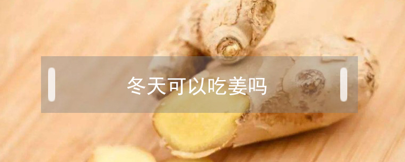 冬天可以吃姜嗎