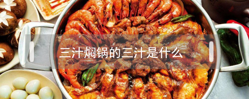 三汁燜鍋的三汁是什么