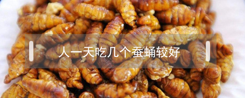 人一天吃幾個蠶蛹較好