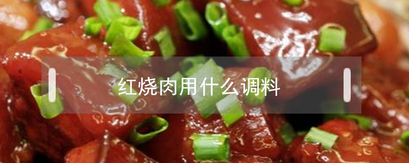 紅燒肉用什么調料