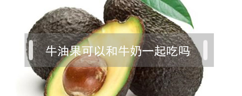 牛油果可以和牛奶一起吃嗎