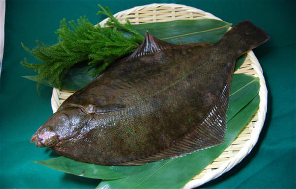 吃多寶魚的禁忌