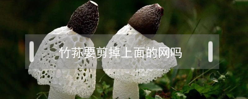 竹蓀要剪掉上面的網(wǎng)嗎