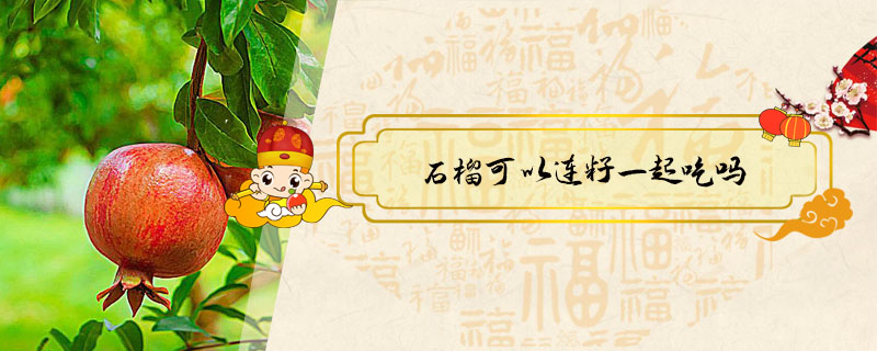 石榴可以連籽一起吃嗎