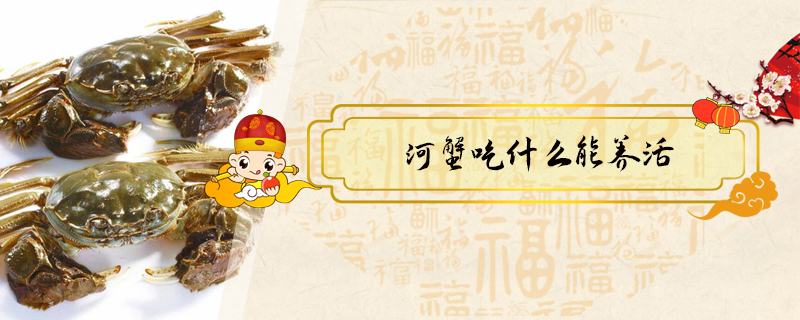 河蟹吃什么能養活