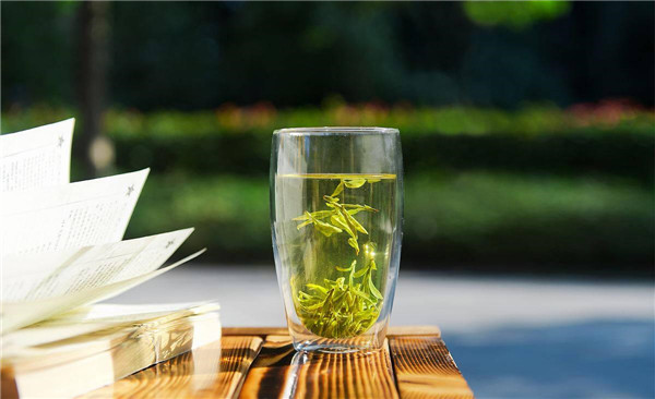 西湖龍井屬于什么茶