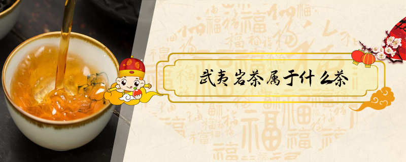 武夷巖茶屬于什么茶
