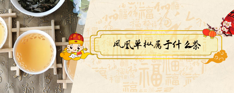 鳳凰單樅屬于什么茶