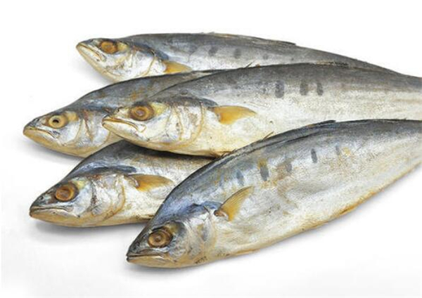 咸魚是什么魚