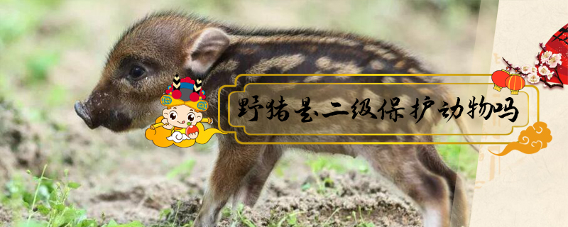 野豬是二級保護動物嗎