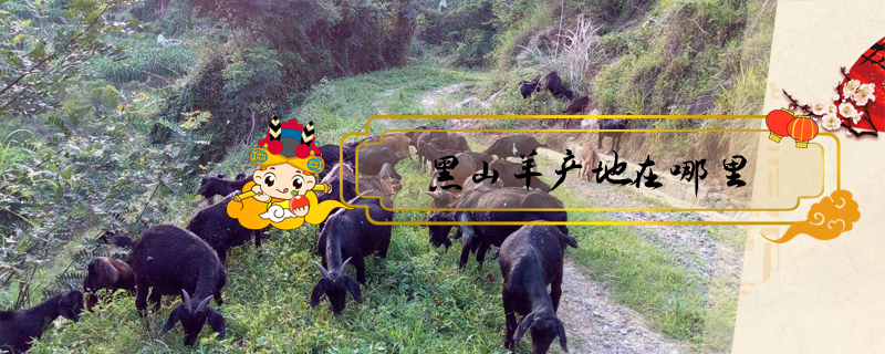 黑山羊產地在哪里