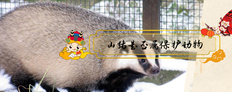 山豬是否屬保護動物