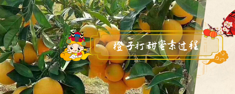 橙子打甜蜜素過程