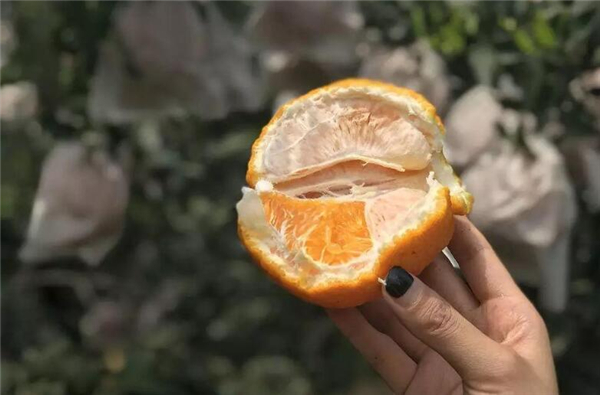 橙子打甜蜜素過程