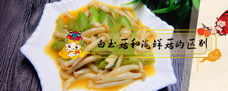 白玉菇和海鮮菇的區別