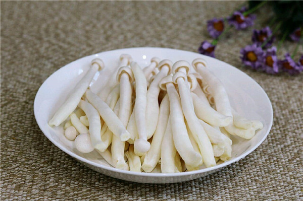 白玉菇和海鮮菇的區別