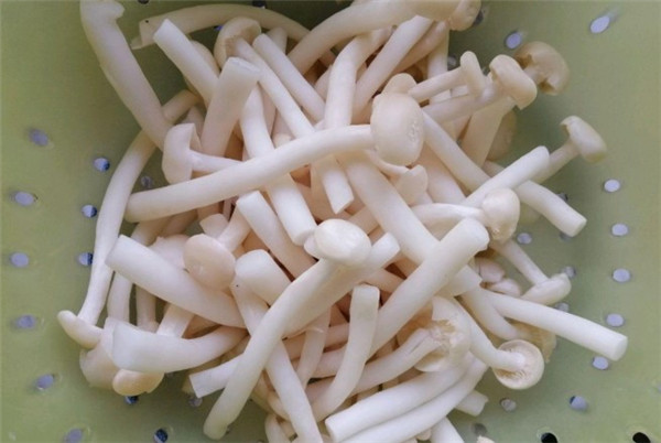 白玉菇和海鮮菇的區別