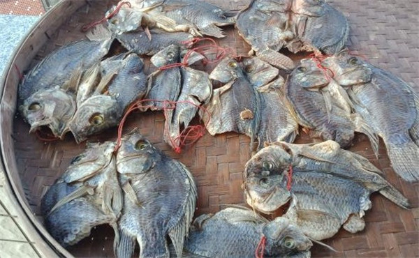 羅非魚怎樣曬魚干