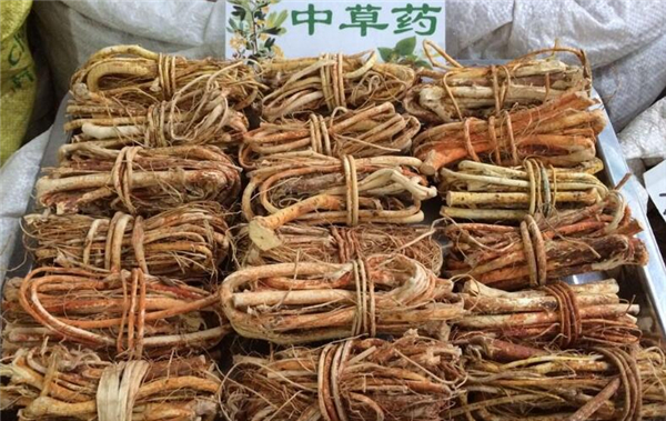 五指毛桃煲湯配什么