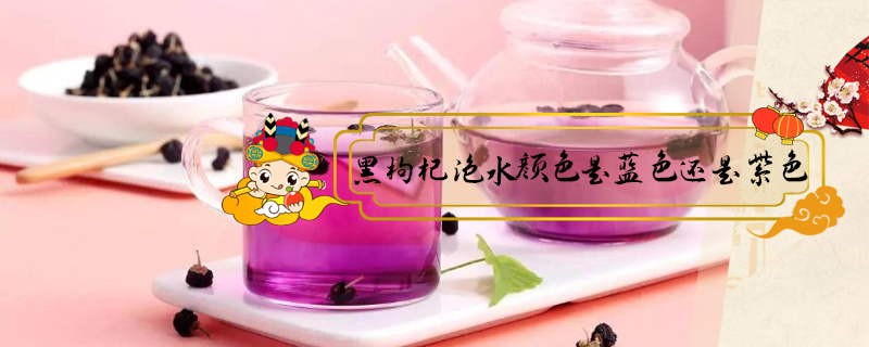 黑枸杞泡水顏色是藍色還是紫色