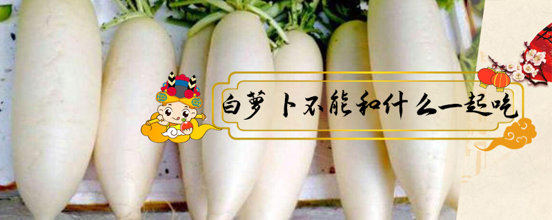 白蘿卜不能和什么一起吃