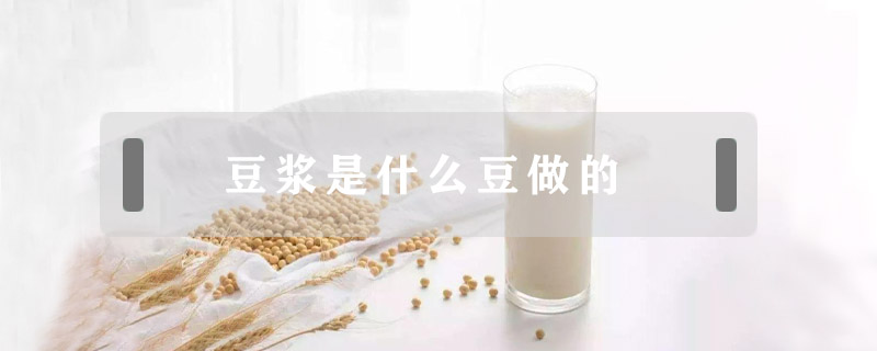 豆漿是什么豆做的