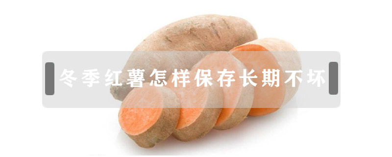 冬季紅薯怎樣保存長(zhǎng)期不壞
