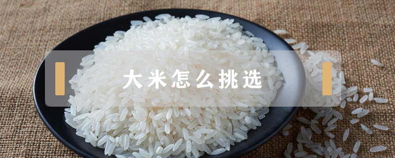 大米怎么挑選
