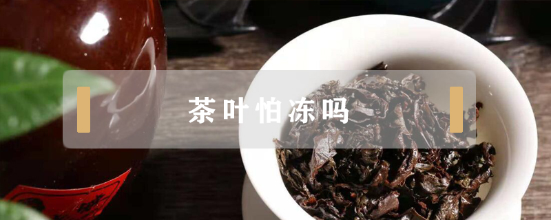 茶葉怕凍嗎
