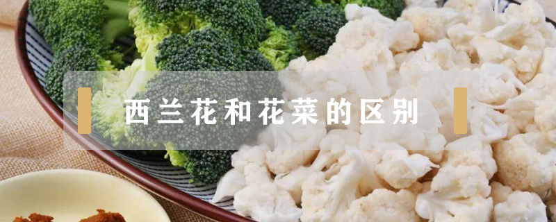 西蘭花和花菜的區別