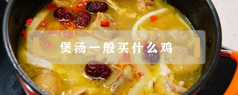 煲湯一般買什么雞