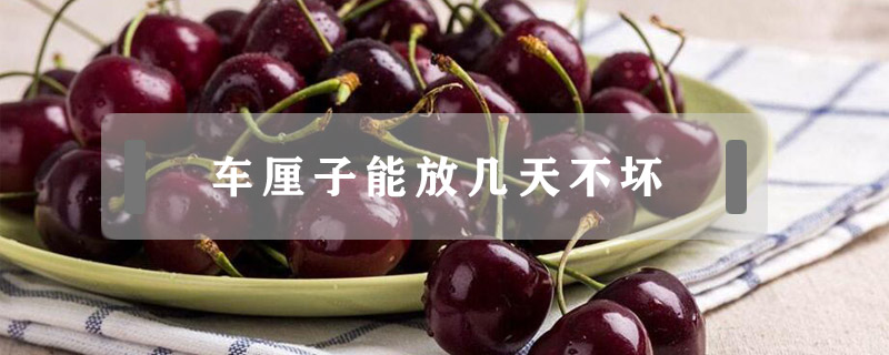 車厘子能放幾天不壞
