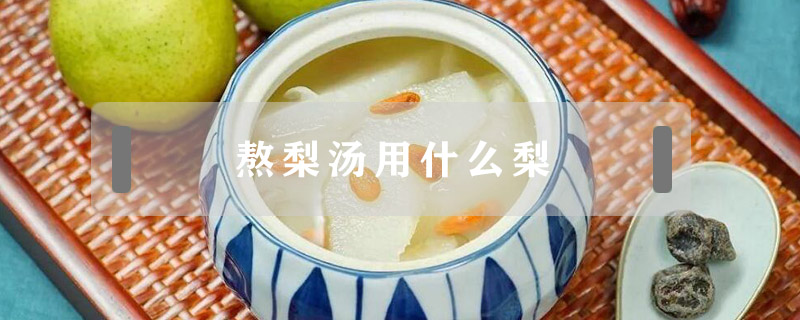 熬梨湯用什么梨