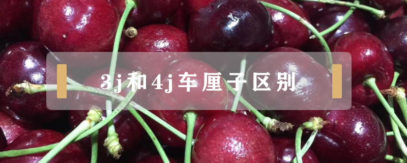 3j和4j車厘子區別