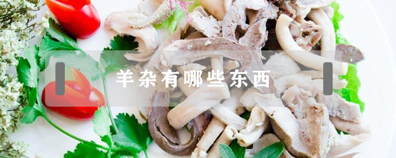 羊雜有哪些東西