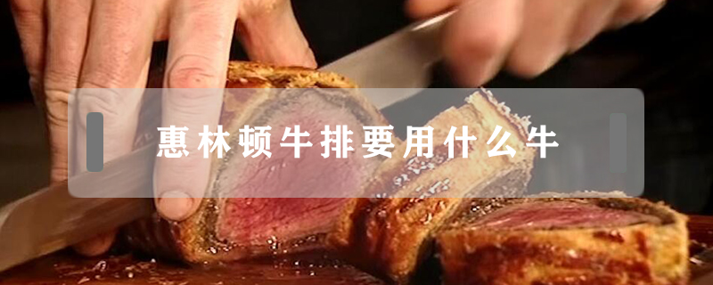 惠林頓牛排要用什么牛