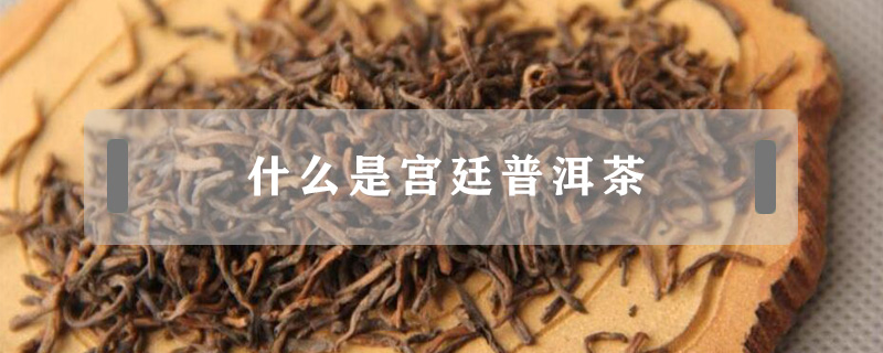 什么是宮廷普洱茶