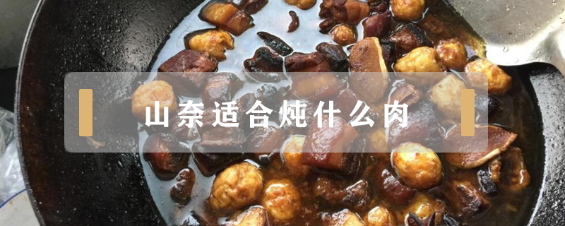 山奈適合燉什么肉
