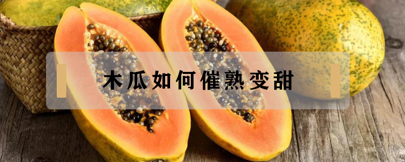 木瓜如何催熟變甜
