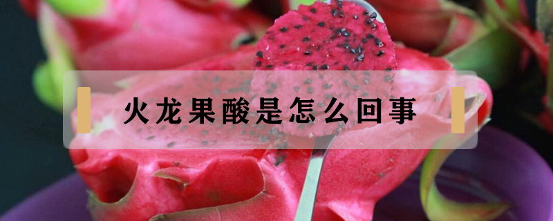 火龍果酸是怎么回事