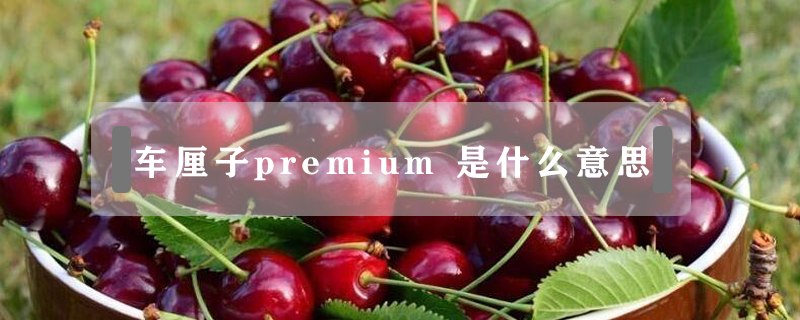 車厘子premium 是什么意思