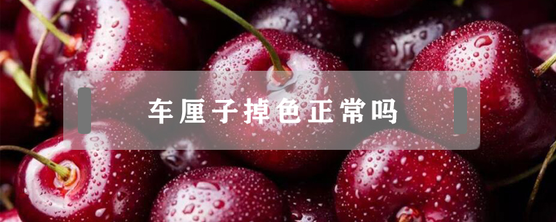 車厘子掉色正常嗎